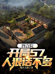 四合院1-56集解说